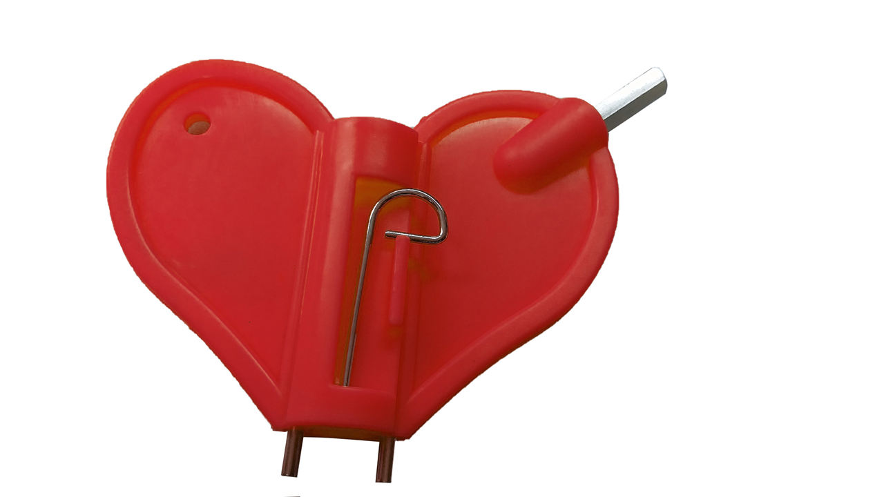 Lampenschlüssel aus Kunststoff_x000D_ für alle gängigen Bakenleuchten mit Inbus und Doppelstecker _x